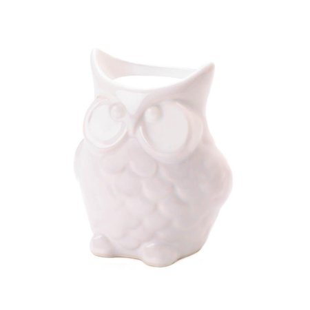 BRILLO ANUNCIO INTELIGENCIA Friendly Owl Oil Warmer BR2598512